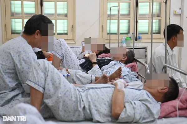 Hà Nội phát hiện thêm tuýp virus gây bệnh sốt xuất huyết-2