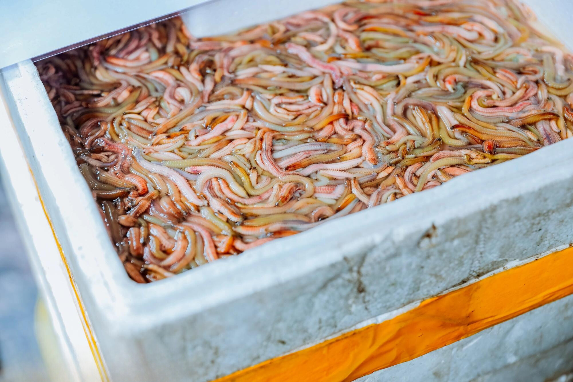 3 món ngon ấm áp dành cho mùa đông Hà Nội nhất định phải ăn ngay-1