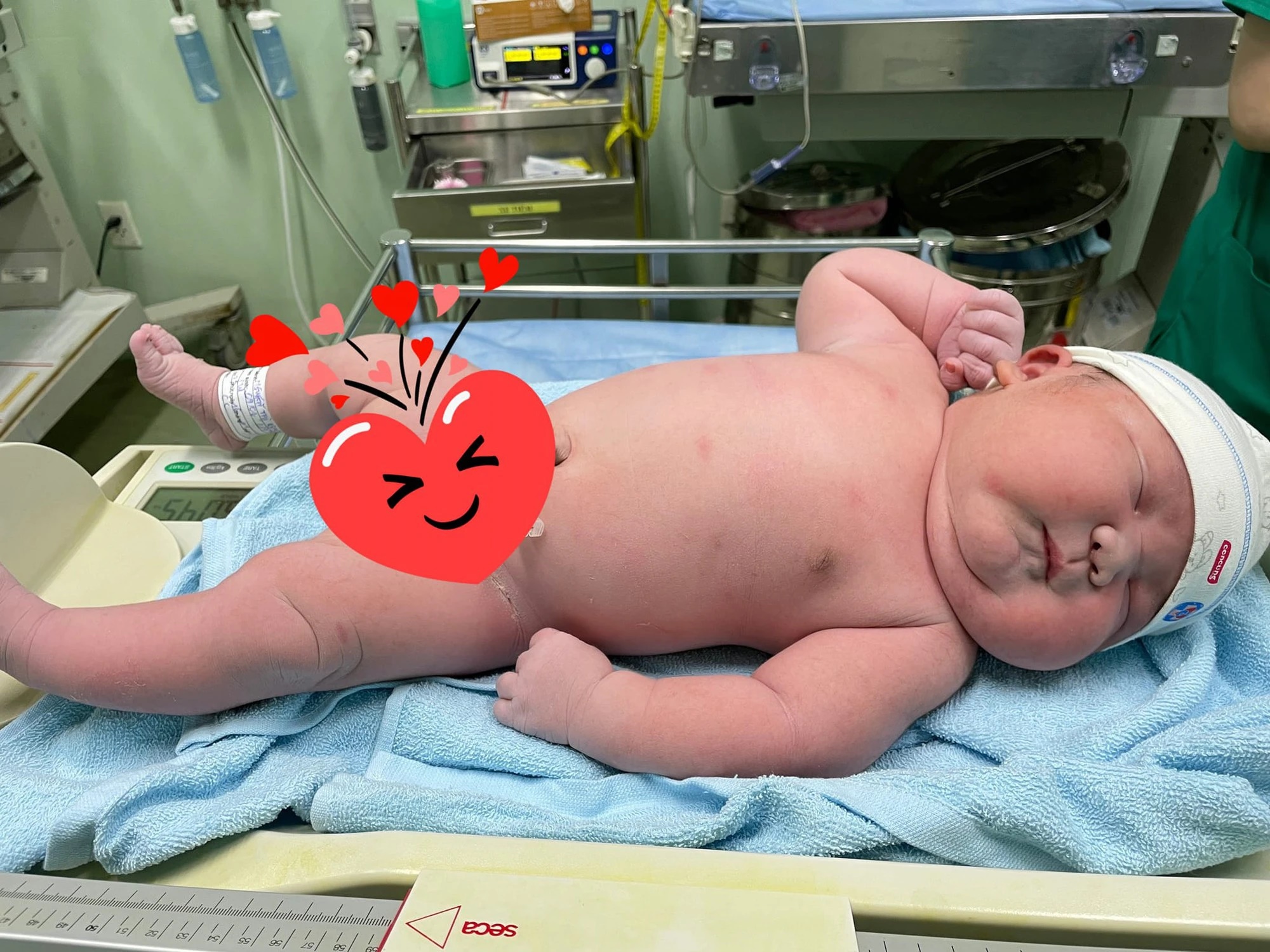 Em bé mèo ú nhất năm 2023 nặng 6045g ra đời khiến các mẹ xuýt xoa trộm vía-1