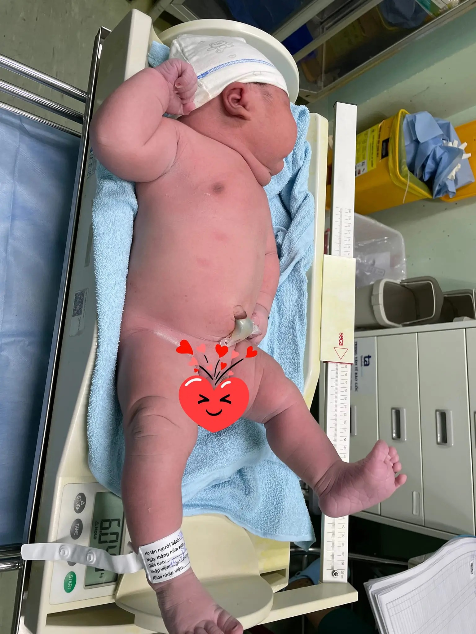 Em bé mèo ú nhất năm 2023 nặng 6045g ra đời khiến các mẹ xuýt xoa trộm vía-2