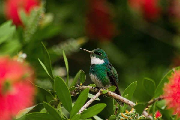 Đổi vận phát tài: 3 con giáp hết vất vả, khó khăn, phú quý chạm đỉnh trong tháng 10 Âm lịch-4