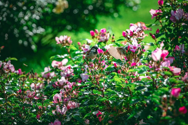 Ai sinh tháng Âm lịch này sống lương thiện, giàu phúc khí, cuối năm 2023 thuận lợi, bội thu-2