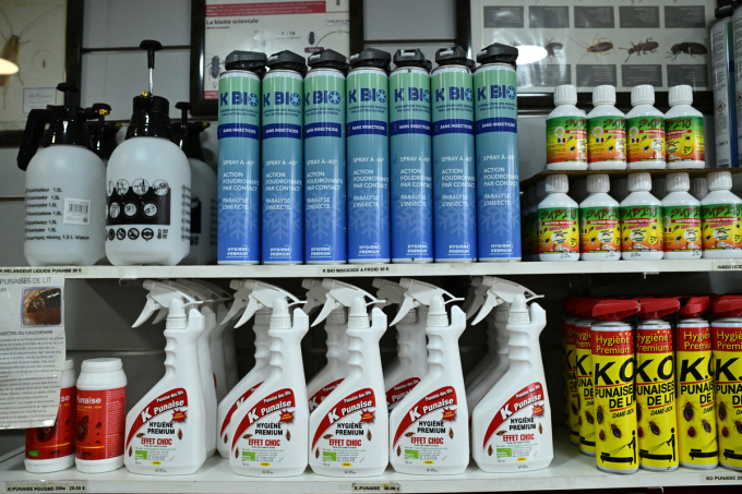 Rệp hút máu lan rộng và càn quét khắp châu Á: Xuất hiện khắp nơi gây ám ảnh, thuốc diệt bán nhiều gấp 172 lần vẫn không đủ-4