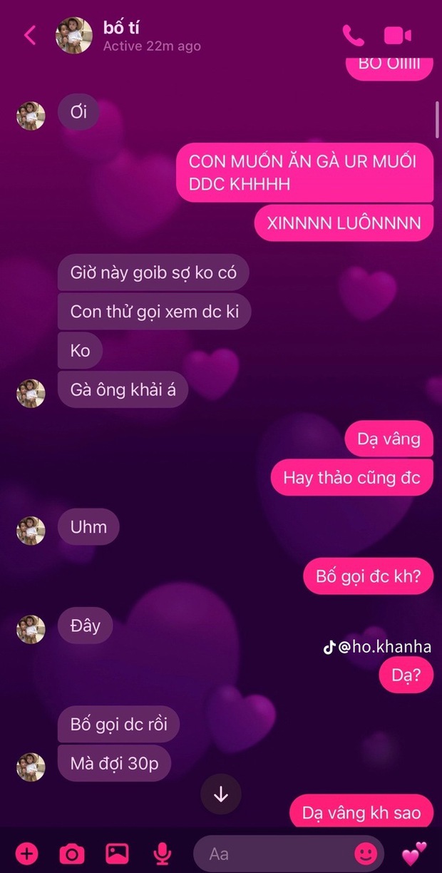 Con gái chia sẻ loạt tin nhắn với Hồ Hoài Anh, khẳng định 1 điều về bố-8