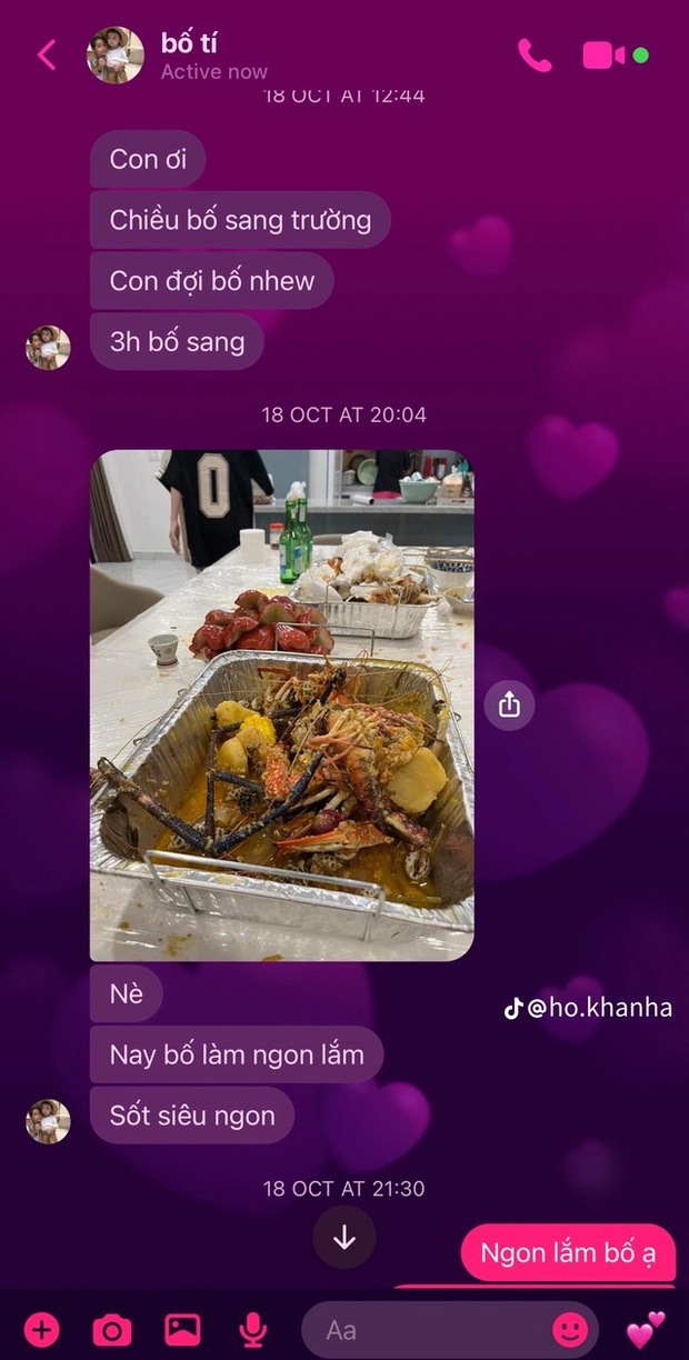 Con gái chia sẻ loạt tin nhắn với Hồ Hoài Anh, khẳng định 1 điều về bố-10