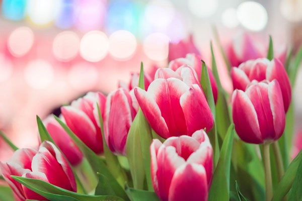 4 cung hoàng đạo bùng nổ thành công năm 2024, sự nghiệp lẫn tình duyên đều suôn sẻ-5