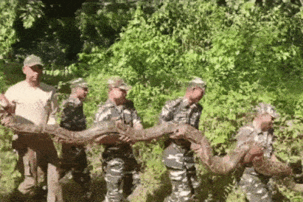 Người đàn ông dùng tay không bắt sống trăn khủng đang ăn thịt mèo cưng-1