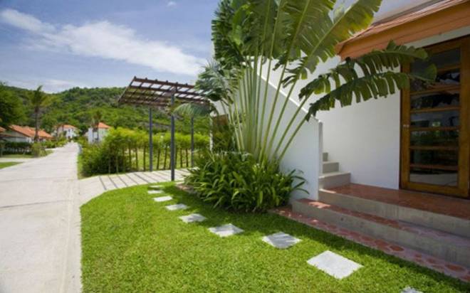 Trồng cây chuối trước nhà có được không? 10 người thì 9 người trả lời sai-3