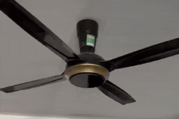 Chủ nhà trọ Hiệp khùng được giảm 6 tháng tù-2