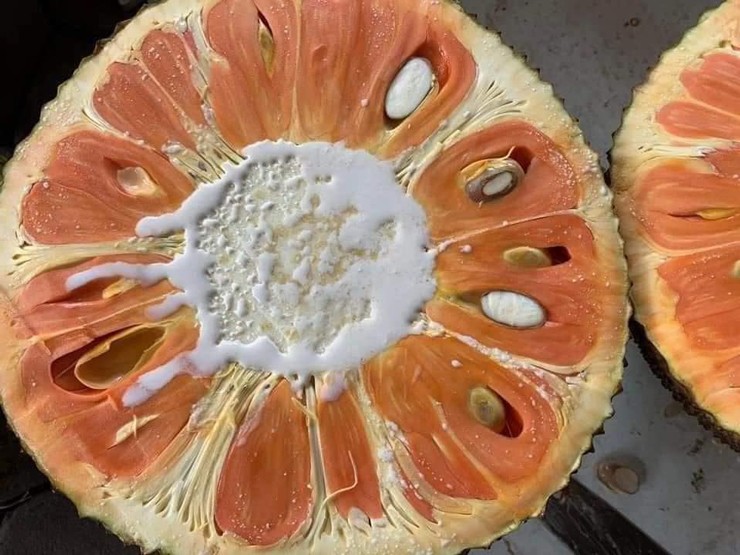 Giá mít ruột đỏ tụt dốc không phanh, sau 10 ngày giảm còn một nửa-1