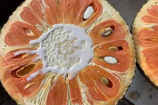 Giá mít ruột đỏ “tụt dốc không phanh