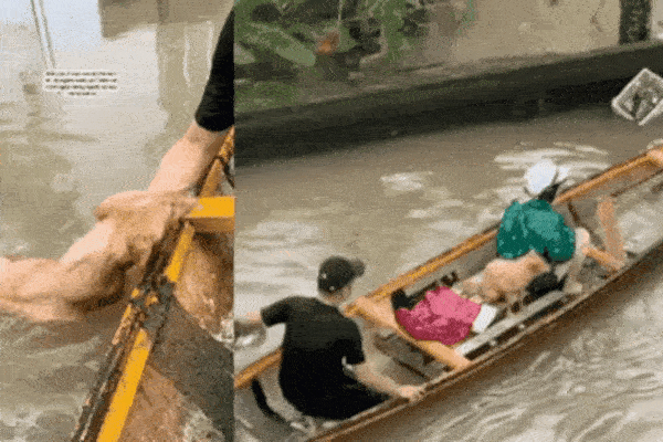 3 triệu người xem clip giải cứu 2 chú cún đang lạnh cóng trong mưa lụt ở Huế, cái kết khiến netizen vỡ òa-1