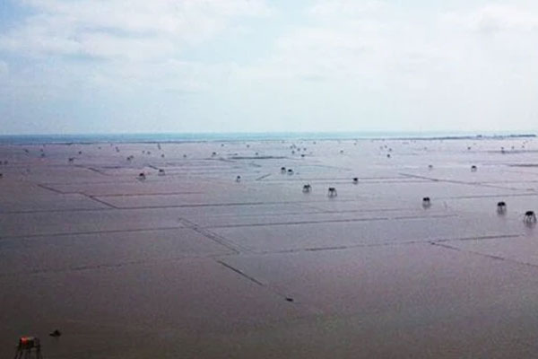 Vụ bé 2 tuổi mất tích bí ẩn: Tiến hành trích xuất camera an ninh xung quanh hiện trường-5