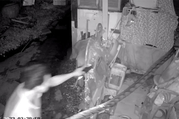 Clip: Trăn khủng bất ngờ lao ra cắn chủ khi được cho ăn-1