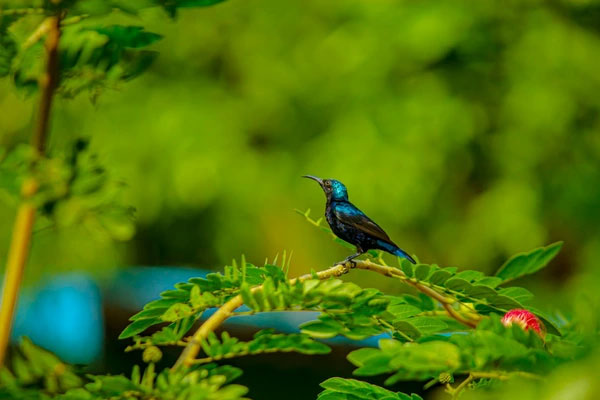 Người sinh tháng Âm lịch này, tình yêu ngọt ngào, gia đình hòa thuận, ít cô đơn hay đau khổ-1