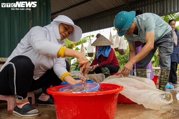 Kiếm hơn 200 triệu đồng chỉ sau một ngày vớt lộc trời-10