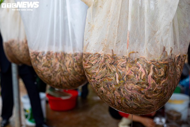 Kiếm hơn 200 triệu đồng chỉ sau một ngày vớt lộc trời-9