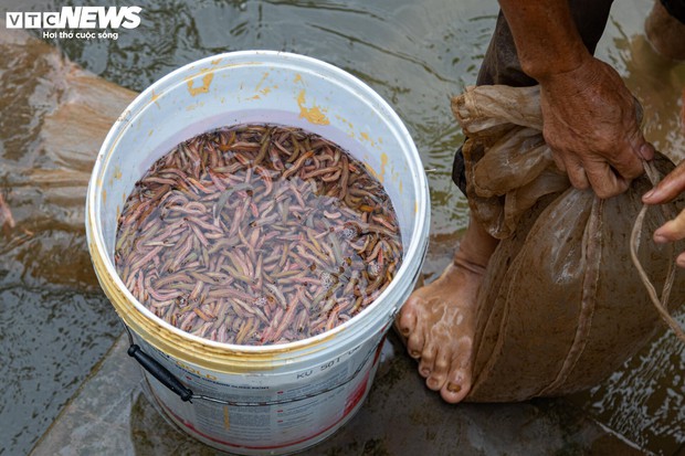 Kiếm hơn 200 triệu đồng chỉ sau một ngày vớt lộc trời-6