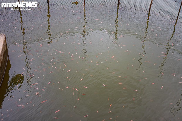 Kiếm hơn 200 triệu đồng chỉ sau một ngày vớt lộc trời-2