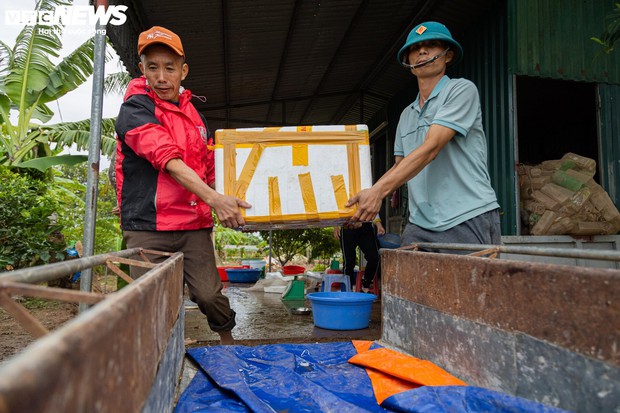 Kiếm hơn 200 triệu đồng chỉ sau một ngày vớt lộc trời-16
