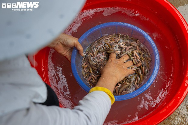 Kiếm hơn 200 triệu đồng chỉ sau một ngày vớt lộc trời-11