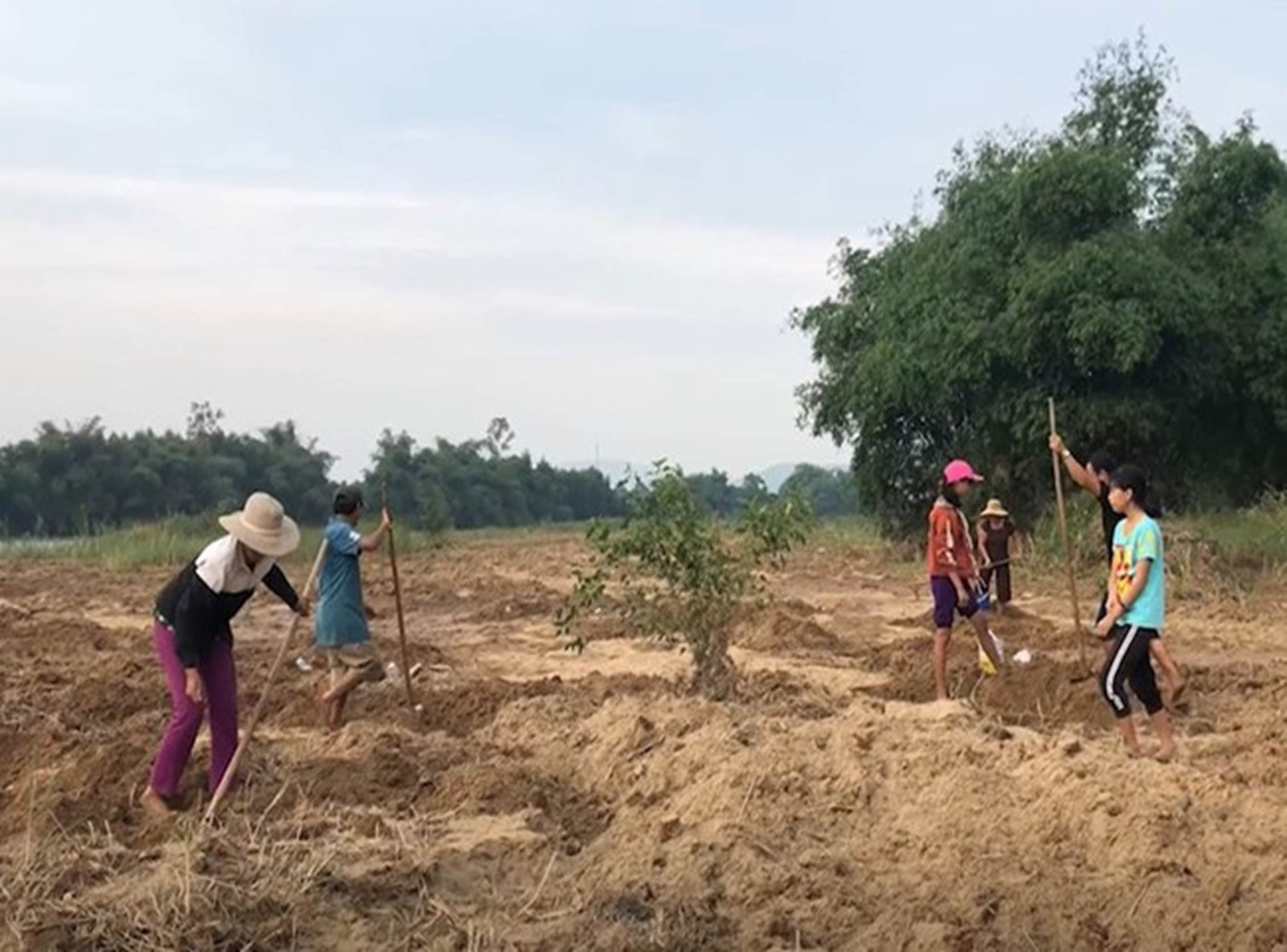 Loại thần dược phòng the” béo mũm mĩm khiến dân đổ xô tìm, kiếm tiền triệu mỗi ngày-5