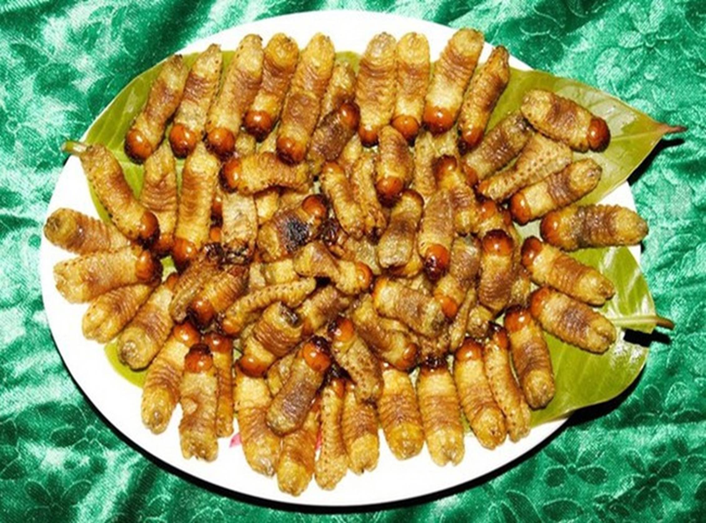 Loại thần dược phòng the” béo mũm mĩm khiến dân đổ xô tìm, kiếm tiền triệu mỗi ngày-11