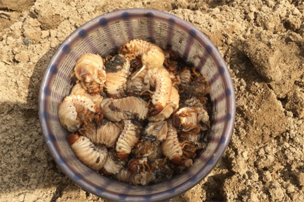 Vay ngân hàng 200 triệu đồng để mua ô tô, cần trả lãi và gốc bao nhiêu mỗi tháng?-3