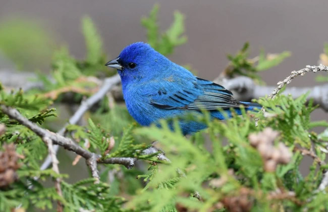 Mùa thu đông năm nay, 4 con giáp đạt tiến triển tốt trong sự nghiệp, vận may dồi dào, tiền bạc dư dả-4