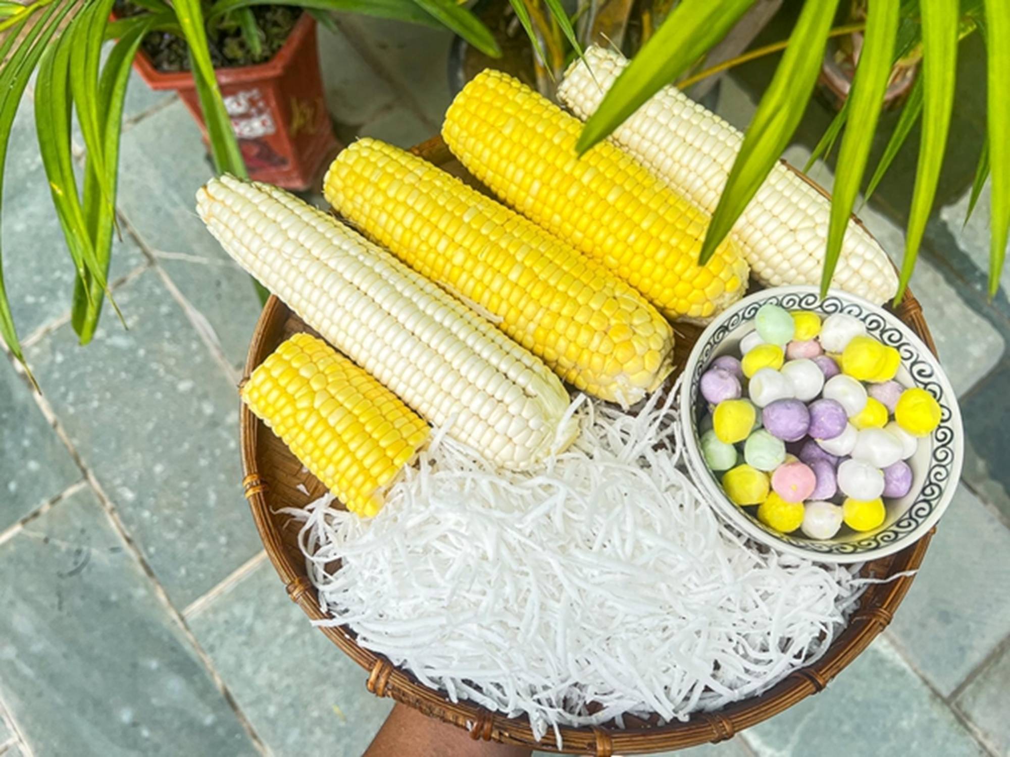 Loại quả được coi là thực phẩm trường thọ, dưỡng da, chống ung thư cực tốt, nấu chè cực ngon-2