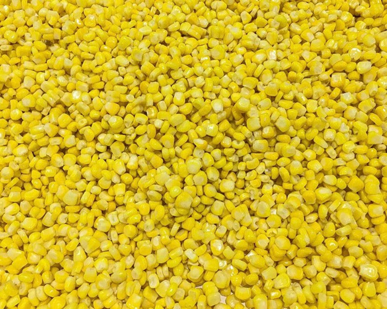 Loại quả được coi là thực phẩm trường thọ, dưỡng da, chống ung thư cực tốt, nấu chè cực ngon-4