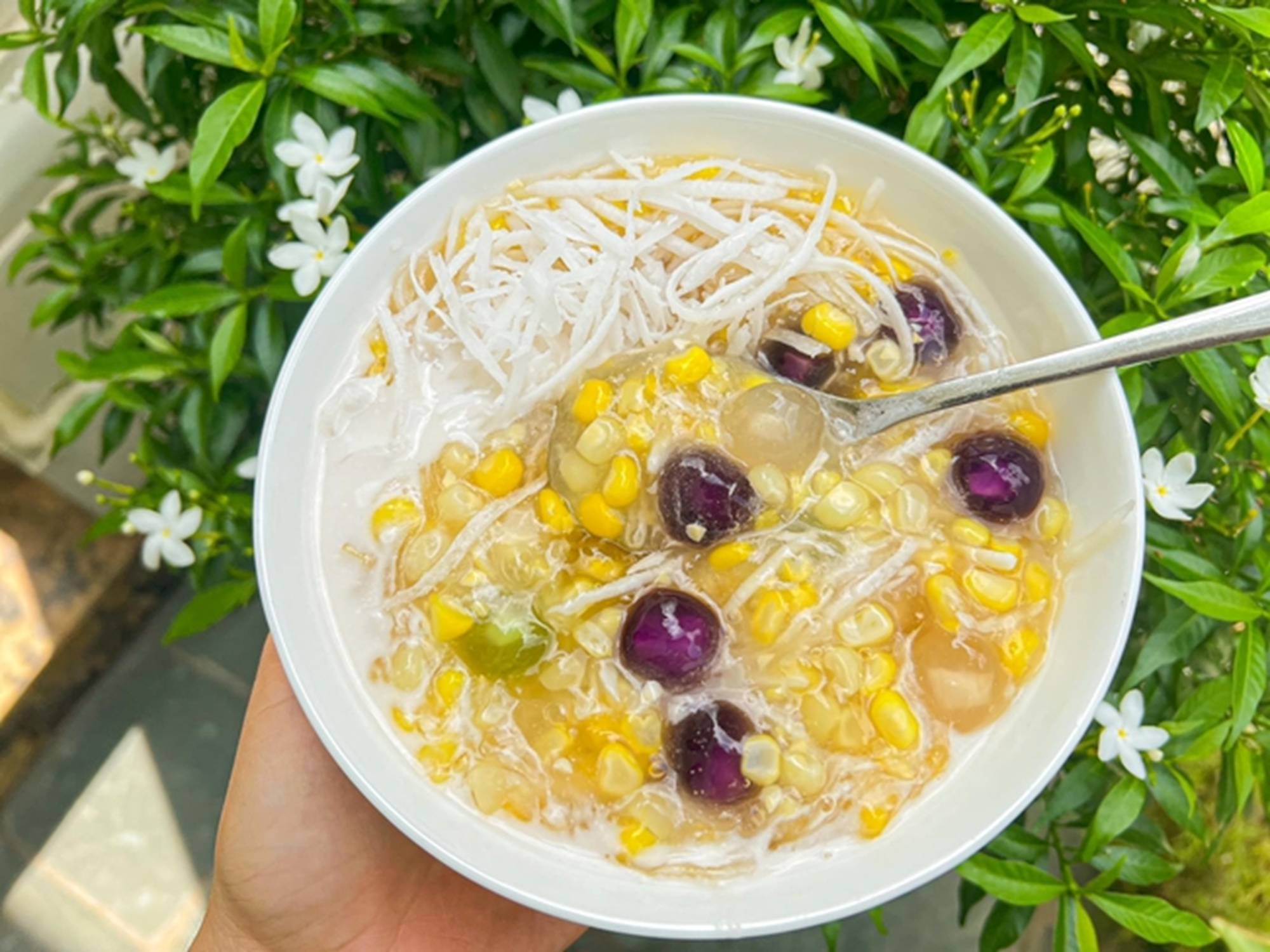 Loại quả được coi là thực phẩm trường thọ, dưỡng da, chống ung thư cực tốt, nấu chè cực ngon-6