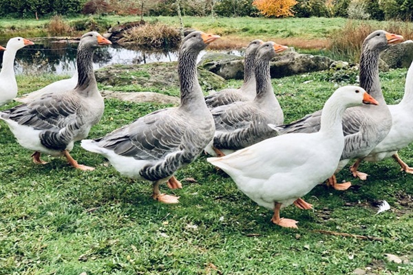 Cách xử lý khi bị keo con voi dính vào tay-2