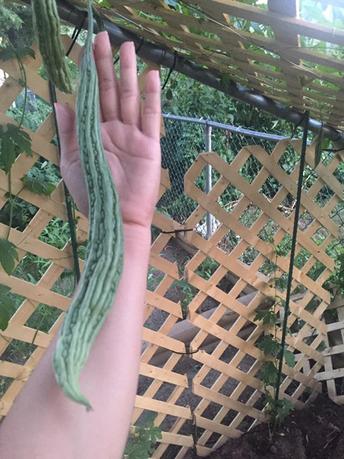 Nữ ca sĩ sống như bà hoàng tại Mỹ, cứ thích là được chồng tặng biệt thự siêu xe, vừa tậu thêm nhà phố Sài Gòn gần 10 tỷ đồng-12