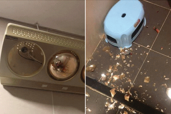 Tại sao bộ đếm thời gian trên máy giặt thường sai?-2