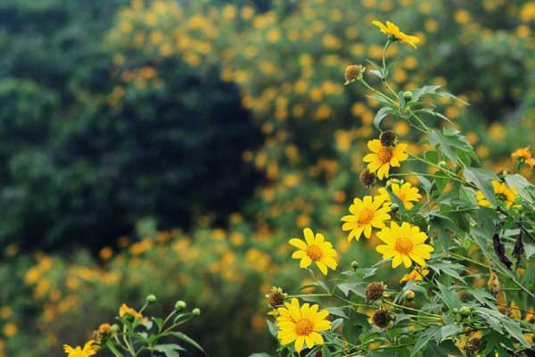 3 con giáp làm việc không biết mệt mỏi trong năm 2024, thu về không chỉ tài lộc dồi dào mà còn giải quyết hết nợ nần-4