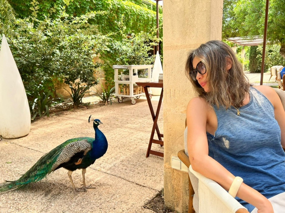 Hoa hậu Việt độc lạ bậc nhất: U50 đầu đầy tóc bạc vẫn đẹp quyến rũ, bỏ showbiz làm nông dân tại Mỹ-4