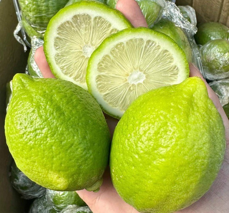 Loại chanh lạ” nhập từ Trung Quốc gây sốt” tại chợ Việt, cửa hàng bán ngày cả tấn-4