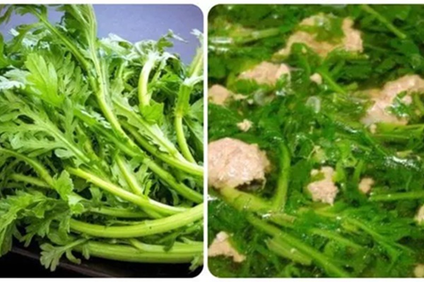 Công dụng của rau cải cúc ít người biết-1