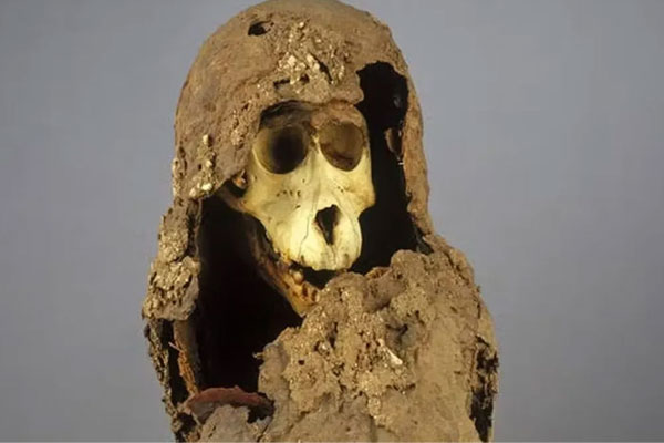 Xác ướp quái dị tiết lộ vương quốc huyền bí ẩn mình giữa Ai Cập-1