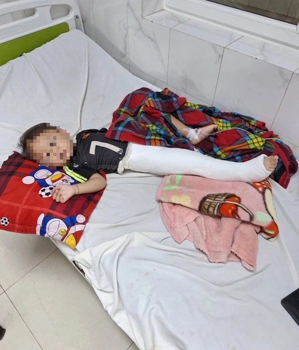 Xác minh thông tin gây tai nạn rồi vứt bé 2 tuổi vào bụi rậm-1