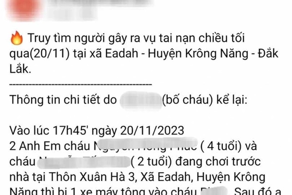 Xác minh thông tin gây tai nạn rồi vứt bé 2 tuổi vào bụi rậm-2