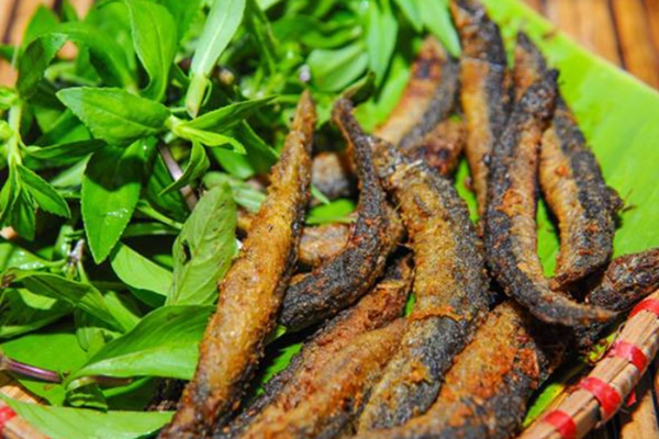 Loài cá được ví như ‘nhân sâm dưới nước’ tốt cho thận, gan-1