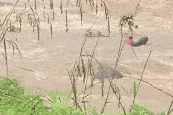 Nghẹt thở cảnh giải cứu cụ bà mắc kẹt giữa khe hẹp của 2 ngôi nhà-1