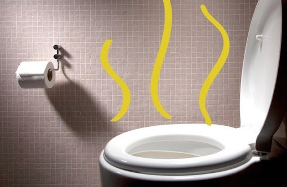 Thói quen đổ nước thải xuống bồn cầu tưởng là tốt hóa ra lại rất hại: Đây là 4 nguyên nhân-2