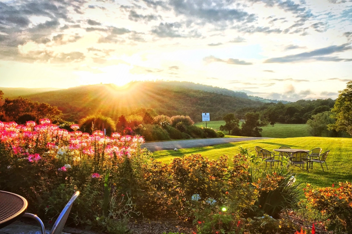 Ngắm nông trại bên Mỹ của hoa hậu Việt vừa gây sốt khi tái xuất, trổ tài catwalk giữa đồng lúa-24