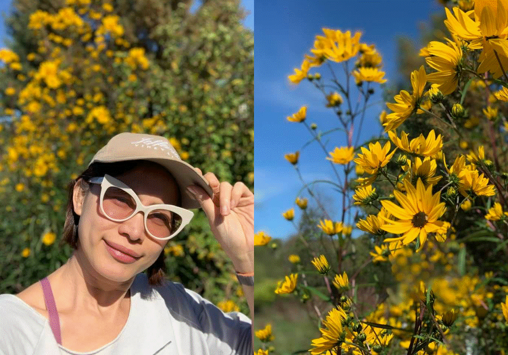 Ngắm nông trại bên Mỹ của hoa hậu Việt vừa gây sốt khi tái xuất, trổ tài catwalk giữa đồng lúa-25