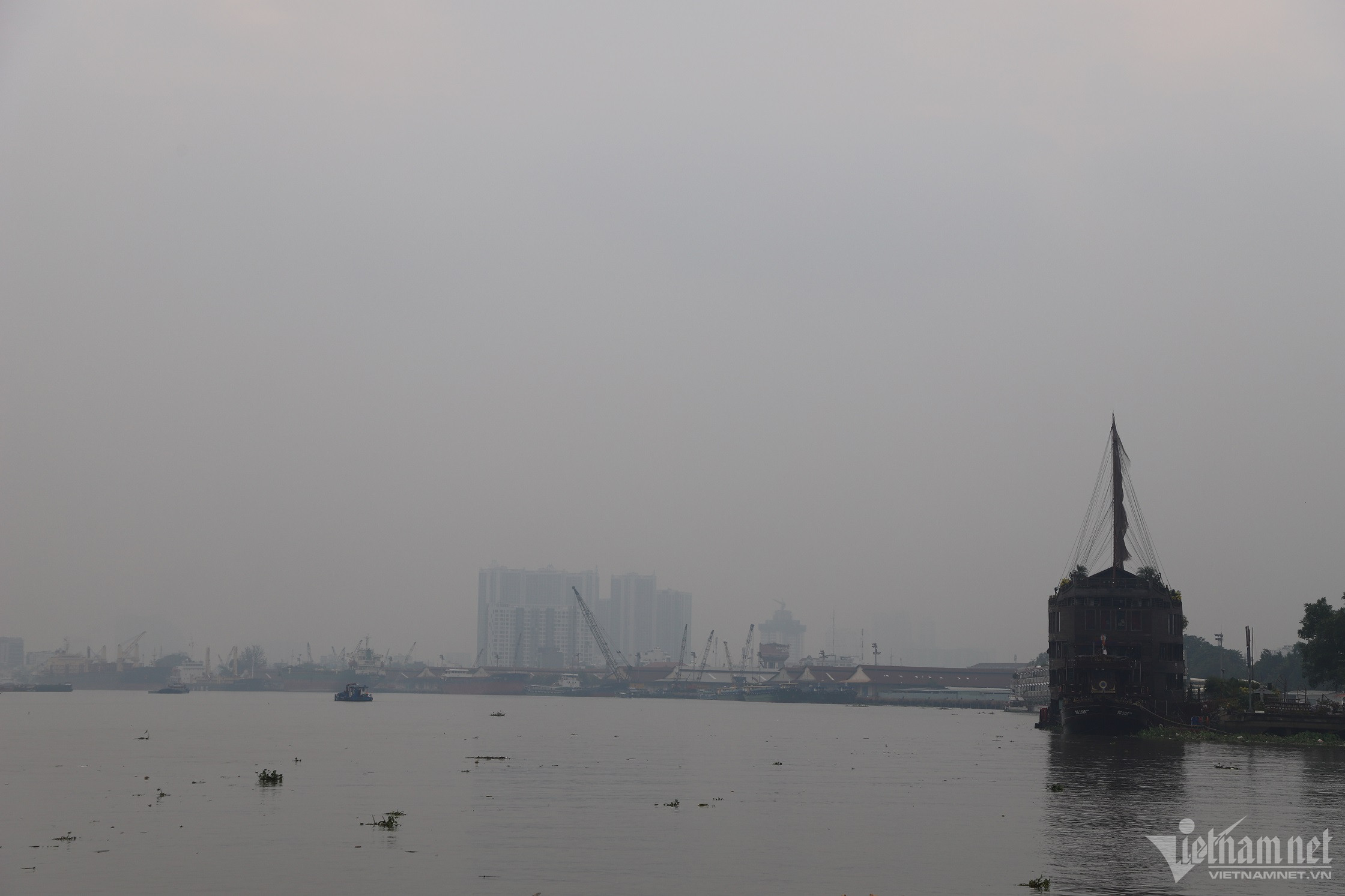 Giới trẻ TP.HCM tận hưởng tiết trời mát mẻ như mùa thu Hà Nội-2