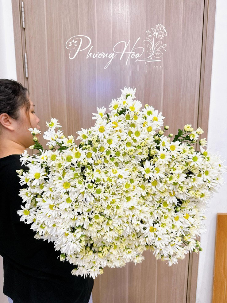 Cúc họa mi giá rẻ bất ngờ, dân buôn có ngày bán đến 500 bó-2