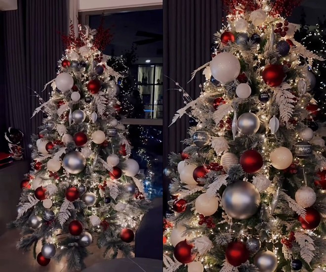 Xong đám cưới, vợ chồng Puka - Gin Tuấn Kiệt khoe ngôi nhà lên đèn Noel, năm nào cũng dựng cây thông mà giấu-6